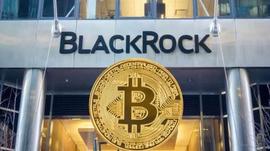 贝莱德的比特币 ETF 举措将灰度 GBTC 交易量推至 8000 万美元_GBTC:CAL