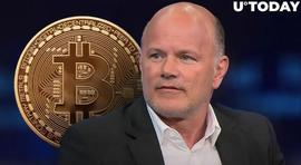 「崛起社区」Mike Novogratz 预计到 2023 年底比特币交易量将走高_DEF:比特币