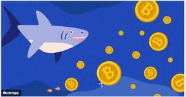 鲸鱼增持近 85K 比特币，但 BTC 价格不受影响——下一步是什么？_BTC:加密货币