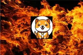 BabyDoge 团队准备销毁 100 千万亿代币：详情_DOG:Baby Doge Billionaire