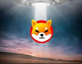 Shiba Inu：Shibarium 2023 年 5 月更新_SHI:SHIBIN币