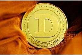 TOADS、XMR和 DOGE：颠覆加密货币世界的不可思议的三重奏_ADS:TOA