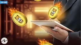 Baby Doge Coin 在过去 24 小时内燃烧了超过 4 万亿_DOG:BABYETHV2价格