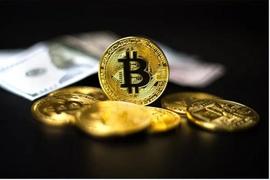 如果美国违约，散户投资者将更喜欢比特币而不是美元：调查_比特币:MYBTC价格