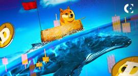 两只 DOGE 鲸鱼在上周卸下了 14 亿个 DOGE_DOG:TokenBetter Pool