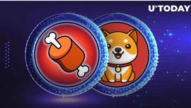 Shiba Inu 的 BONE 和 BabyDoge 代币成功上市_ONE:onekeytools怎么安装到PPT