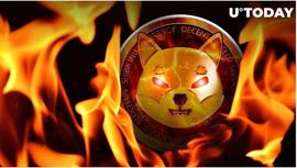 本周烧毁近 20 亿个 SHIB，价格上涨 2.36% 作为回应_SHI:Ainu Token