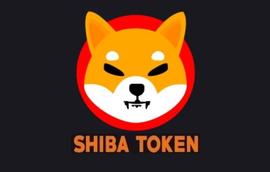 「崛起社区」柴犬市值重回 40 亿美元：SHIB 会再去掉一个零吗？_SHI:8Bit Shiba Inu