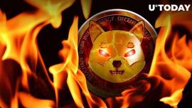 「崛起社区」柴犬 (SHIB) 销毁率上升 3,808%，以下是本周的前景_SHIB:FBURN币