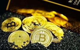 美国银行表示，比特币流向个人钱包表明得到了强有力的支持_加密货币:DOG