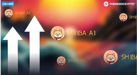 又一个Memecoin SHIBAI暴涨2000%，2023年会飙高吗？_SHIBA:SHIBAWITCH币