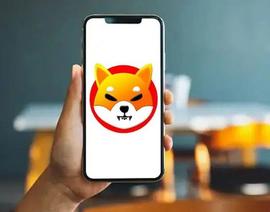 「崛起社区」柴犬跌破前 20 名加密货币：7 天内下跌 17%_SHI:SHIBA