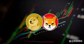 Shiba Inu 和 狗狗币Dogecoin 将引领下一轮牛市_SHI:MSHIBA币