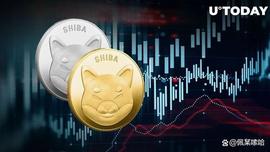 柴犬持有人设法将 2200 美元的 SHIB 转化为 2300 万美元的利润_SHIB:Ethereum pro