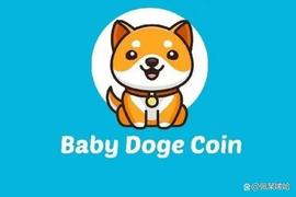 BabyDoge 是否必须依赖比特币（BTC）、以太坊（ETH）来恢复？_YDOGE:DOG
