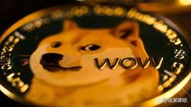 狗狗币（DOGE）推出核心发展基金_ECOIN:coinwatch手表官网