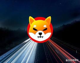 「崛起社区」柴犬：2200 美投资的 SHIB 在 24 月内变 2300 万美_SHI:SHIB