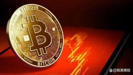 华尔街之狼乔丹贝尔福特：我错了比特币归零_TER:以太坊