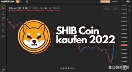 Shiba Inu分析：柴犬(SHIB)我们是买还是不买？_MEM:DOGE