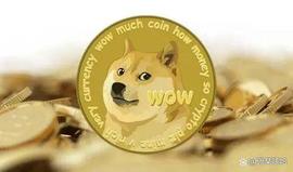 马斯克在推特上发布他的狗的照片时的狗狗币—现在应该购买DOGE？_DOGE:狗狗币