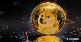 马斯克 与 V神 合作进行狗狗币升级，DOGE 价格飙升！_狗狗币:加密货币