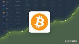 比特币（BTC）价格预计到 2023 年 2 月 23 日将达到 27303 美元_比特币:SmartCash