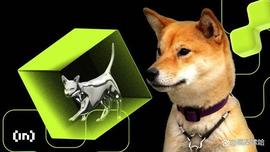 柴犬：为什么最大的以太坊鲸鱼一直持有 SHIB？_SHIB:SHIBIT