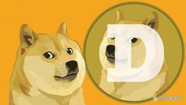 狗狗币(DOGE)投资者在 FTX 灾难后“压力最小”_狗狗币:狗狗币人民币最新价格