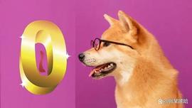从 2021 年 12 月到 2022 年，柴犬（SHIB）删除了多少个“零”？_XRP:SHIBA