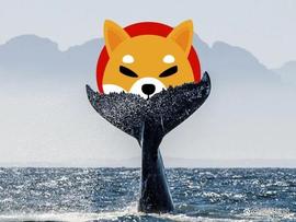 Shiba Inu (SHIB)：一头以太坊 (ETH) 鲸鱼醒来并加油_SHIBA:SSHIBA币