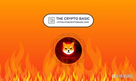 前美国国会候选人称柴犬 (SHIB) 开始了“整个烧伤热”_SHI:LUN