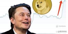 马斯克转出3 亿颗狗狗币？Lookonchain：大涨8%拉价巨鲸就是他_狗狗币:马斯克