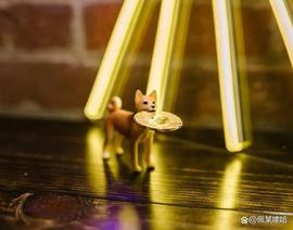 比特币（BTC）、狗狗币（DOGE）预测在 2022 年不会盛行_比特币:DAV