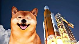 柴犬（SHIB）会达到 1 美元还是 50 美分？_SHI:INU