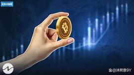比特币 (BTC)在 Pierre Rochard 的声明中从 2020 年的灾难中崛起_比特币:Zero Utility Token