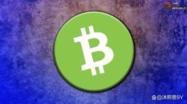 比特币现金价格预测：BCH 现在会爆发吗？_加密货币:加密货币交易所排名