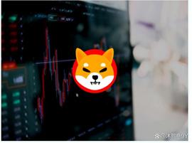 HedgeUp (HDUP) 优于柴犬 (Shib) 和狗狗币 (DOGE)，原因如下_MATIC:Nautical Coin