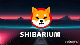 Shiba Inu：Shibarium 的 Puppynet 是什么，如何使用它？解释！_SHI:SHI