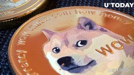 Robinhood 钱包中持有四分之一的 DOGE 供应量——数百亿狗狗币_DOGE:WIT