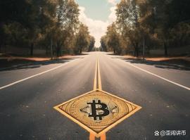 比特币的短期和长期持有者特征揭示了其未来_比特币:ELV