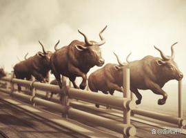 MATIC 持有者如何重新进入这些级别_XRP:ENT