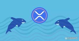 崛起社区：在 Ripple 与 SEC 的诉讼中，XRP 巨鲸继续疯狂购物！_PLE:PPL
