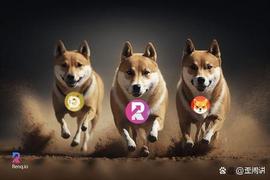 Doge vsRENQ vs SHIB，谁将使市场向上升趋势倾斜？_REN:BENQ