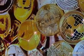 Shiba Coin：山寨币中的后起之秀_SHIB:加密货币