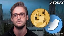 狗狗币 (DOGE) 有望超越 Twitter，顶级分析师想知道何_狗狗币:MEMES币