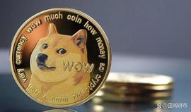 狗狗币在熊市中一瘸一拐：交易者应注意什么_DOGE:狗狗币最新价格今日