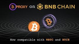 BTC 代理在 BNB 链上运行并可与 WBTC 和 BTCB 互操作_BTCP:BTCPEP价格