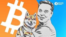 狗狗币的经济学以及为什么它是一个危险的注_COI:ordi币能涨到多少