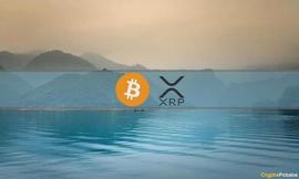 XRP 反弹降温购买更多 BTC，市场平静下来：本周的加密货币回顾_BTC:btc交易所官网