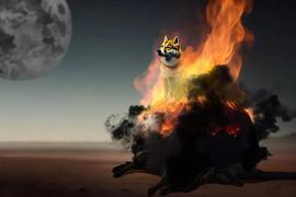 Shiba Inu 发布 Shibarium 文档，SHIB Burn 飙升 1107%_SHIB:SHIBARAMEN价格